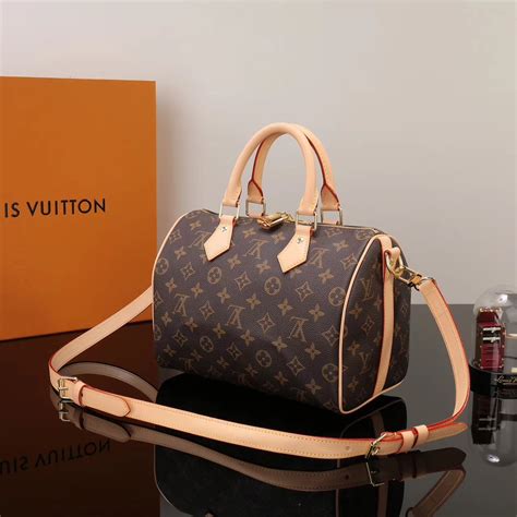 louis vuitton speedy bag price in india|louis vuitton speedy 25 price.